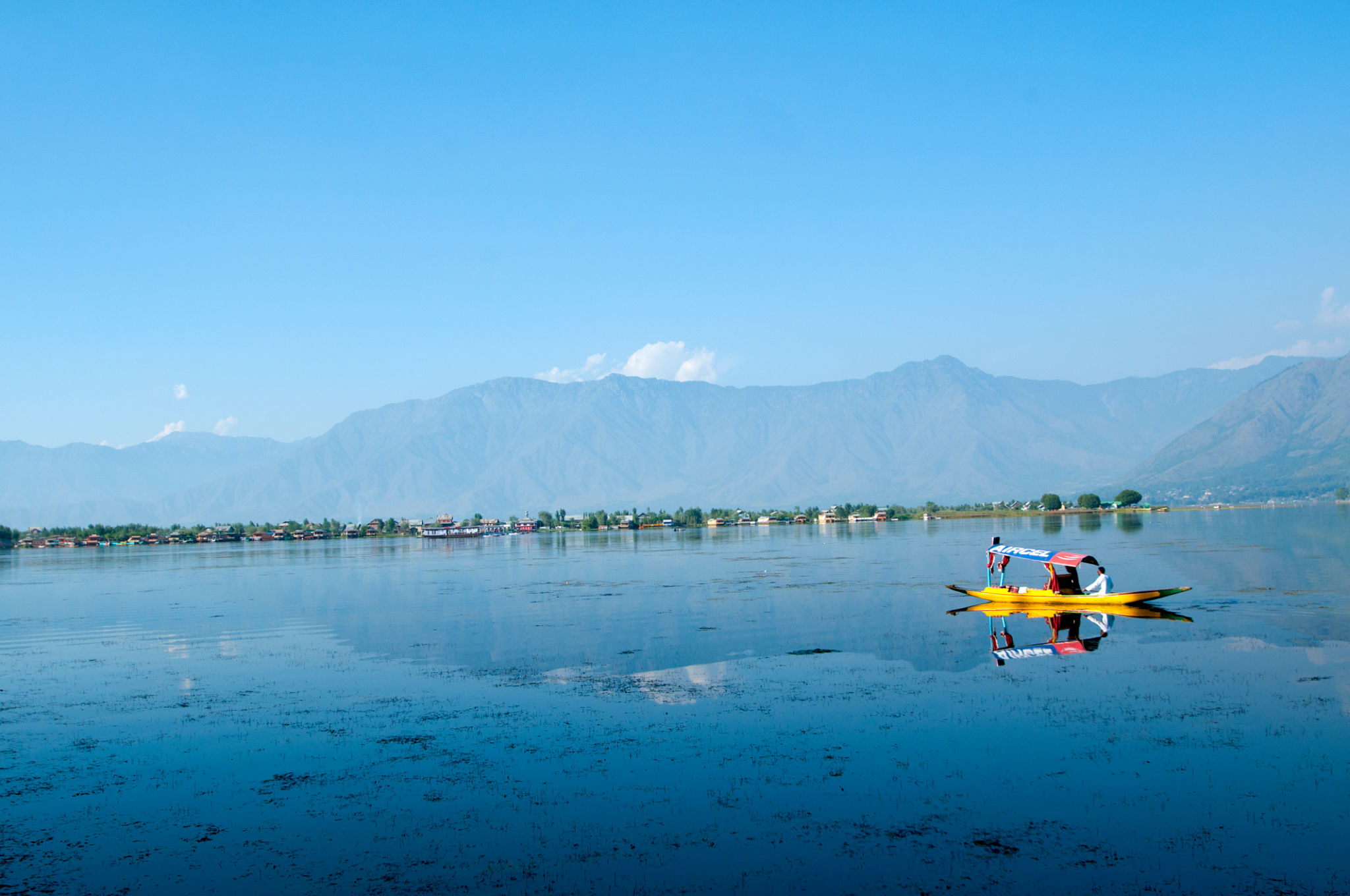 Kashmir